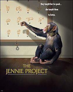 The Jennie Project Disney movie dvd