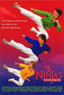 3 Ninjas Kick Back movie dvd