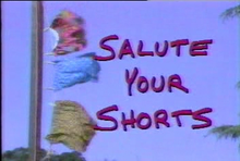 Salute your Shorts complete series  Nickelodeon Series