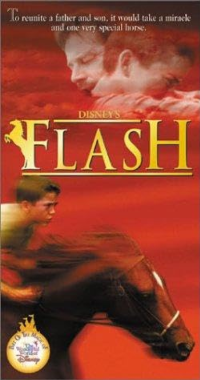 Flash Disney movie dvd